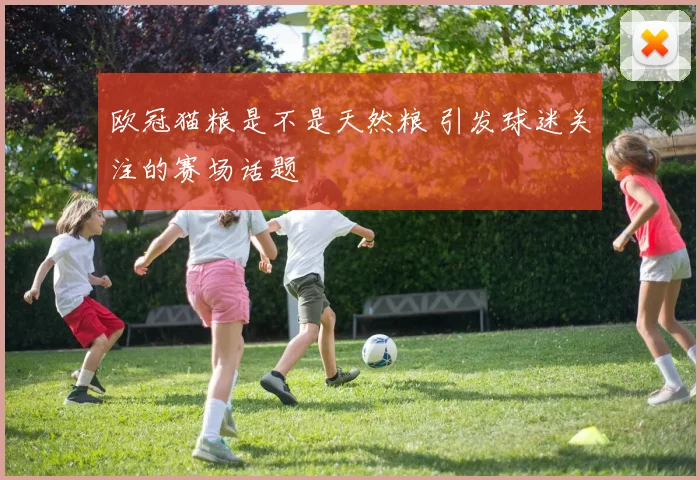 欧冠猫粮是不是天然粮 引发球迷关注的赛场话题